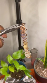 a person is holding a pair of scissors in front of a plant