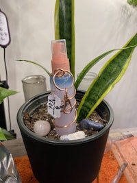 a plant in a pot with a bottle on it